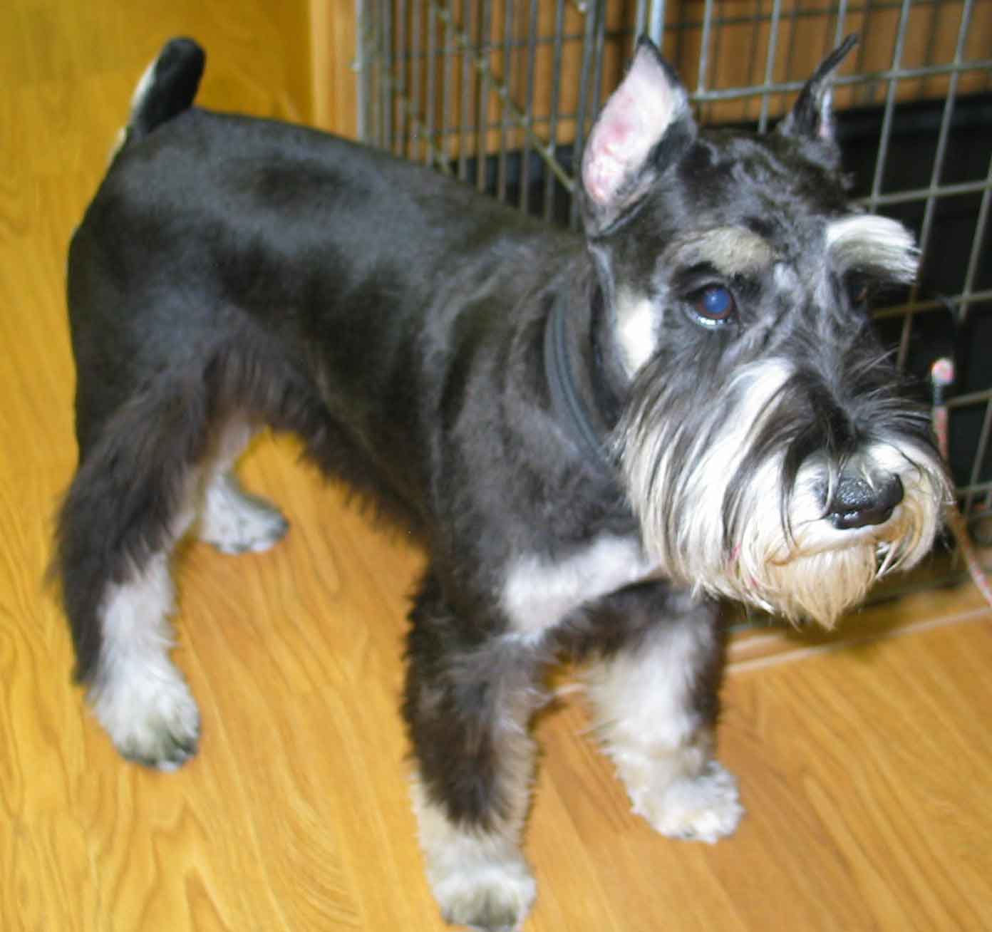 charliehobbs061803opt.jpg