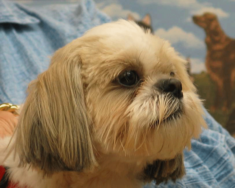 charlieyale092503bopt.gif