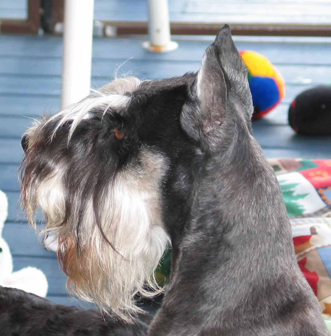 gambler090703f.jpg