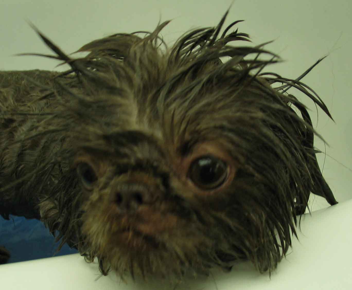 mollymarsellus062303opt1.jpg