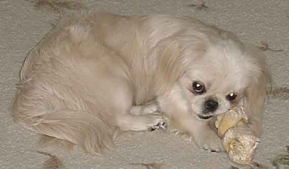 precious060703.jpg